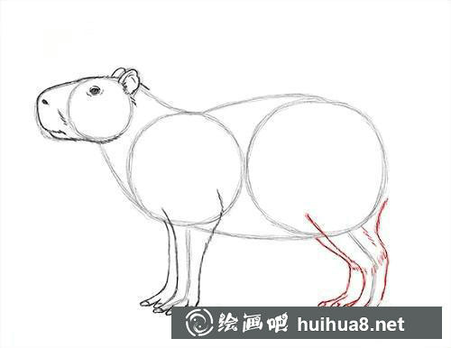第8步