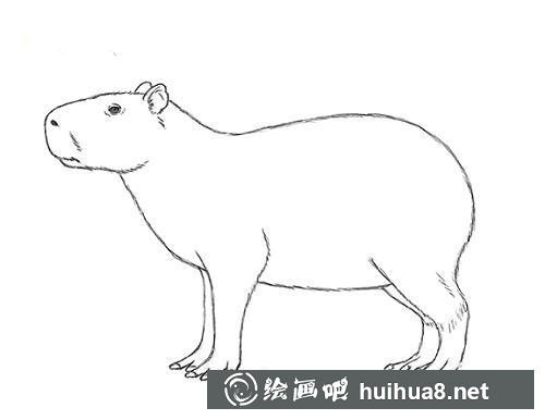 第9步