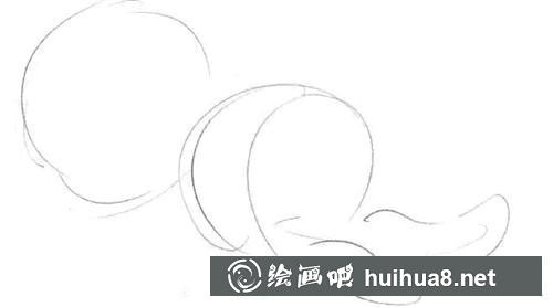 桔子素描图步骤1
