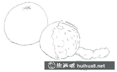 桔子素描图步骤2