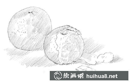 桔子素描图步骤3