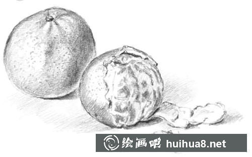 桔子素描图步骤5