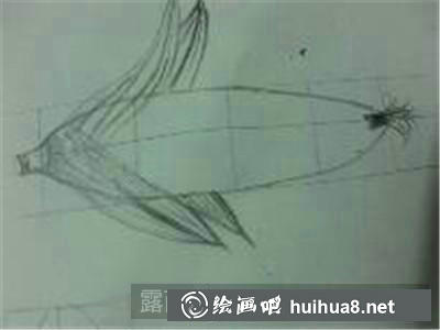 玉米素描步骤3