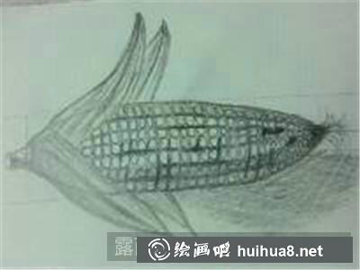 玉米素描步骤6