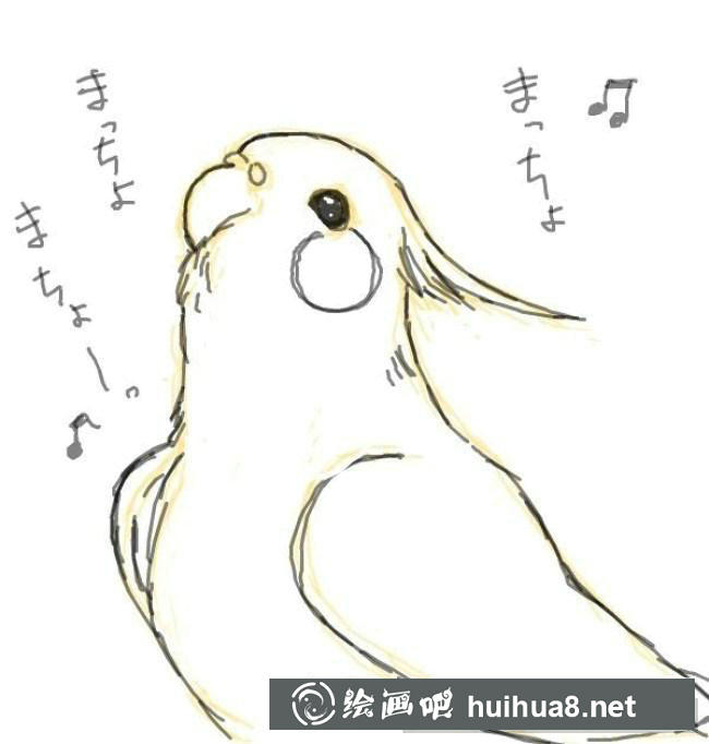 鹦鹉手绘步骤4