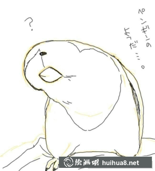 鹦鹉手绘步骤2