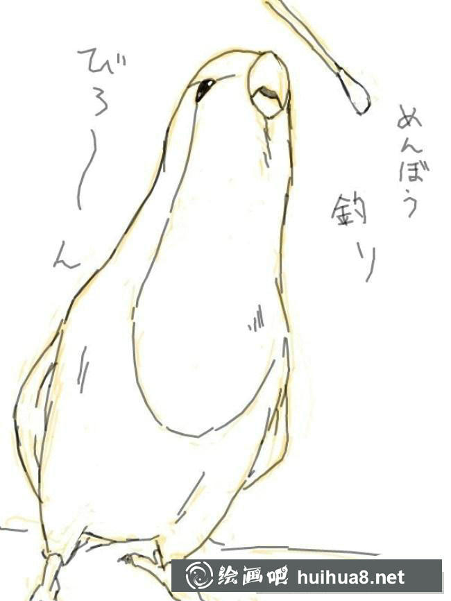 鹦鹉手绘步骤8
