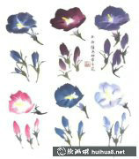 牵牛花国画独特技法