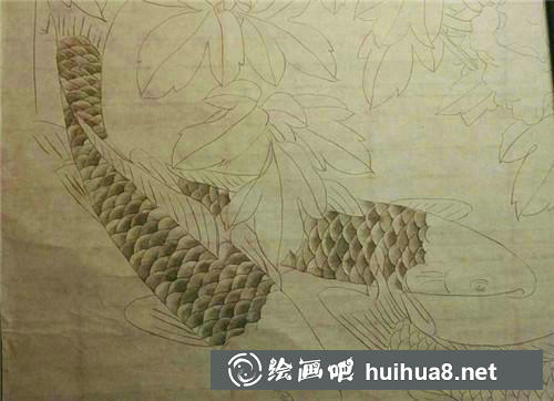 2 淡墨分染鱼体