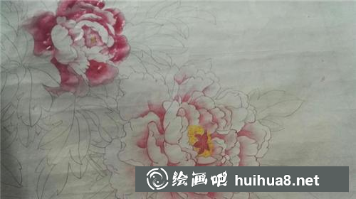 5 曙红+牡丹花