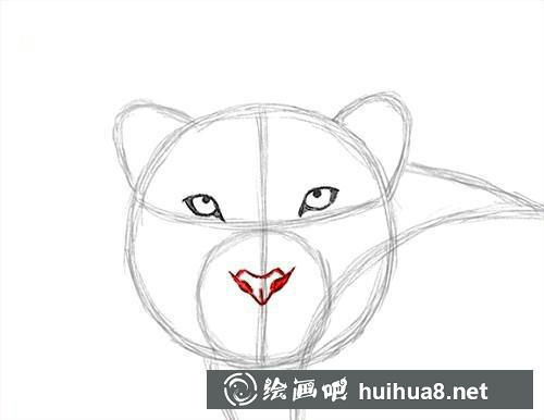 雪豹面部细化