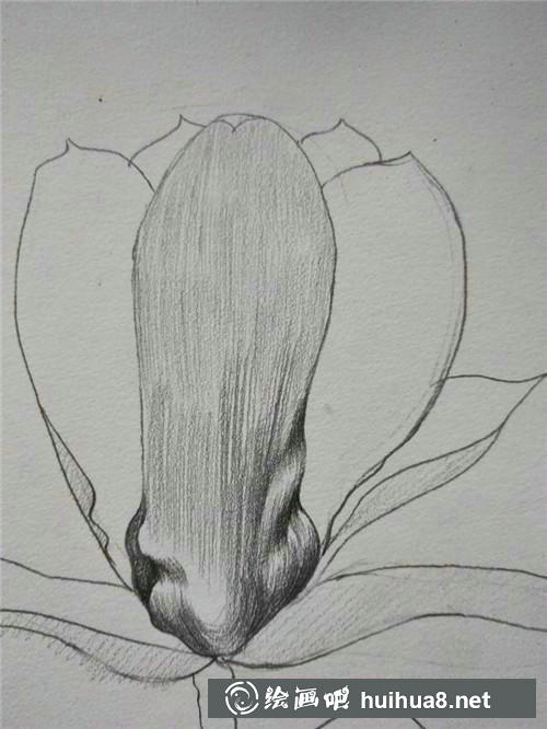 6 6