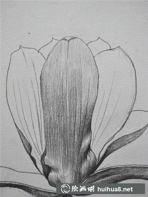 8 8