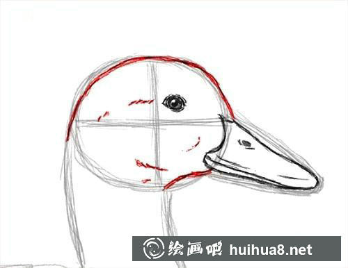 3 鸭眼睛和嘴巴细节