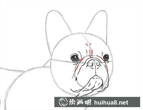 小兔子水彩画步骤5 步骤5