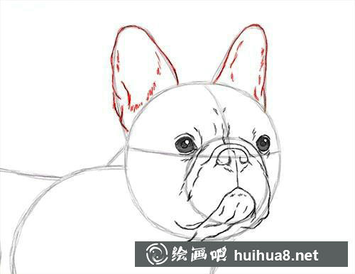 小兔子水彩画步骤6 步骤6