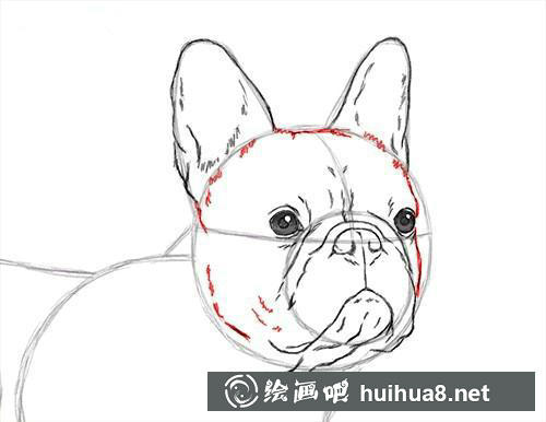 小兔子水彩画步骤7 步骤7