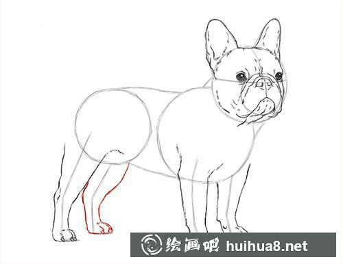 小兔子水彩画步骤8 步骤8