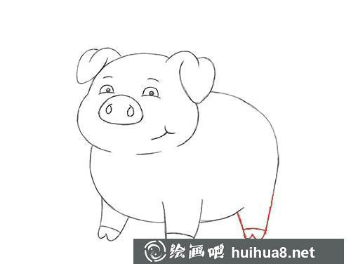 猪的后腿