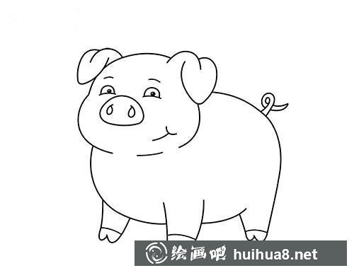 猪的尾巴