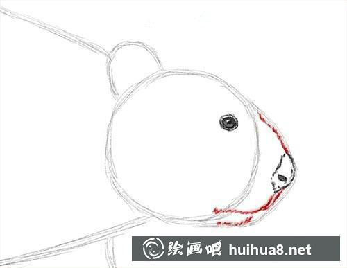 海狸面部