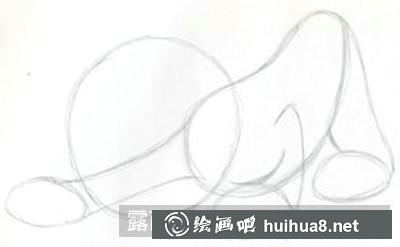 猫咪头部和身体