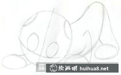 猫咪耳朵