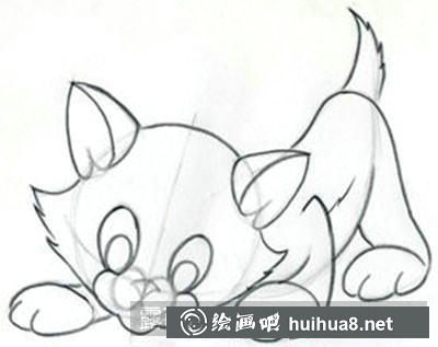 猫咪头部轮廓