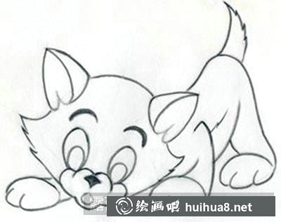 猫咪嘴巴和眉毛