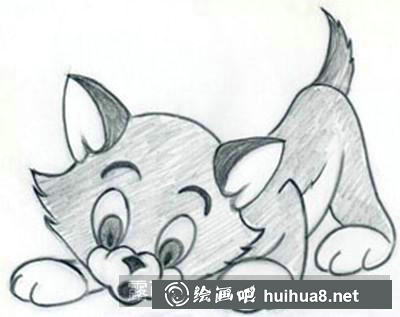 猫咪完成图