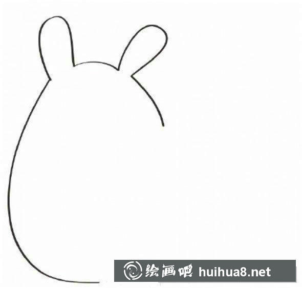 龙猫身体