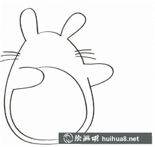 龙猫脸部胡须