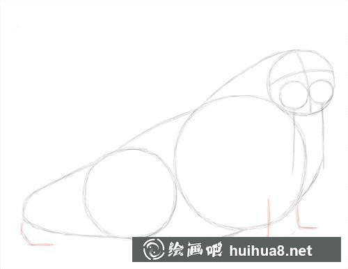 海象素描教程2