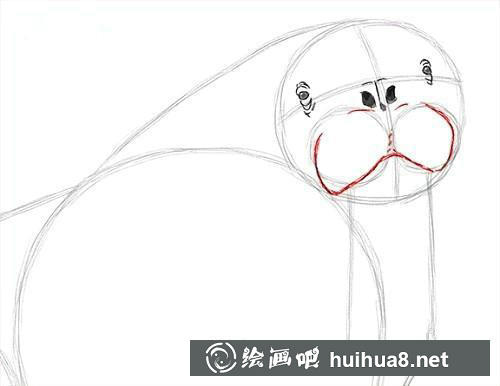 海象素描教程3