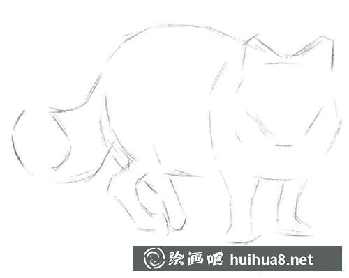 1 雪狐素描画步骤1