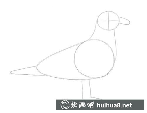 海鸥素描步骤2