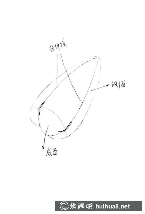 瓜子绘制步骤1