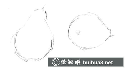 梨子素描轮廓