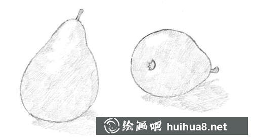 梨子素描上色