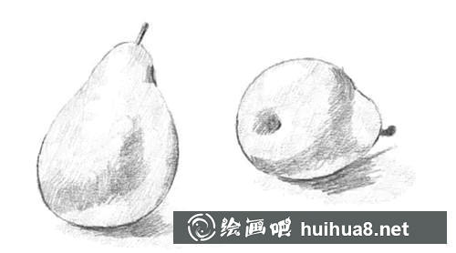 梨子素描深色阴影