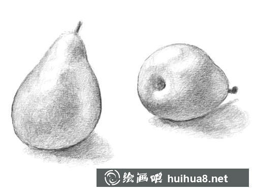 梨子素描完成