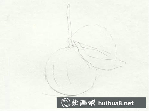 桔子素描步骤2