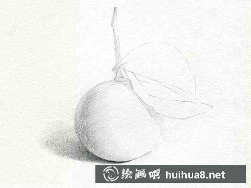 桔子素描步骤3