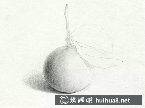 桔子素描步骤4
