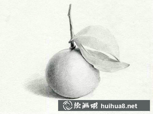 桔子素描步骤5