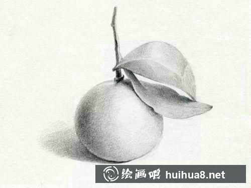 桔子素描步骤6