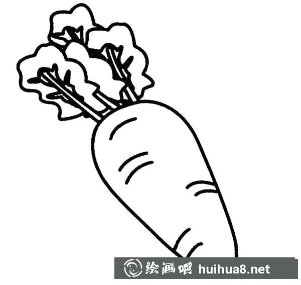 带叶子的胡萝卜简笔画