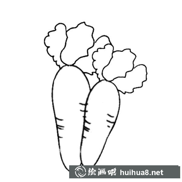 一对胡萝卜简笔画