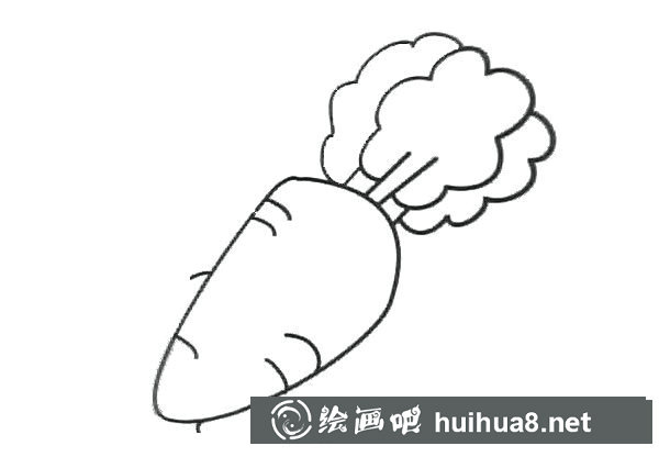 新鲜的胡萝卜简笔画