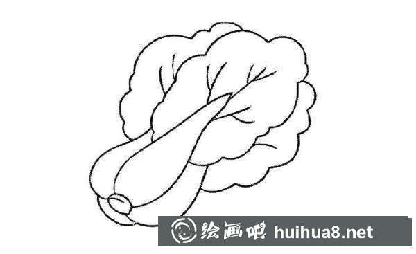 简笔画大白菜怎么画